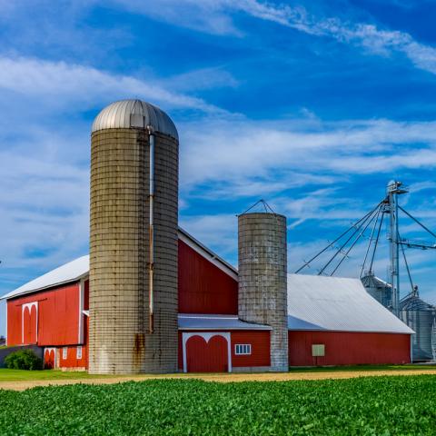 Farm