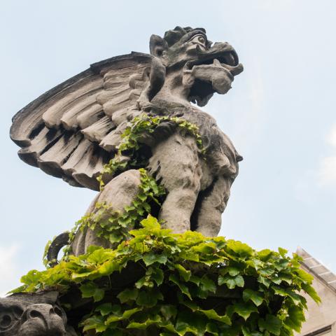Grotesque