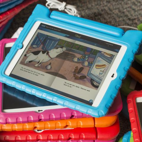 Digital books